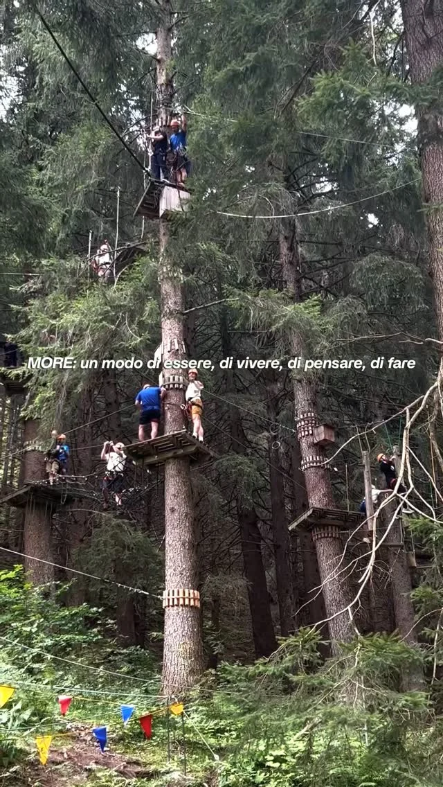 MORE siamo noi! 

#teambuilding